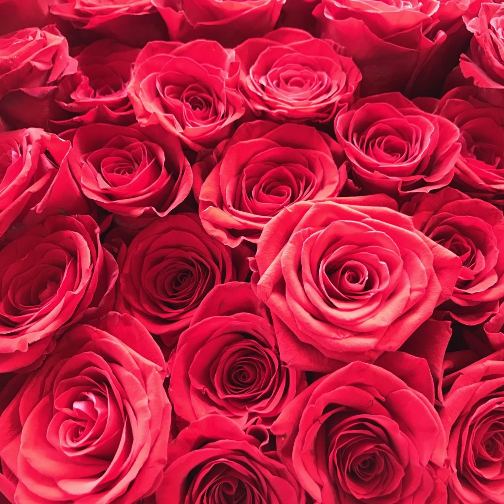赤いバラ60本の花束 還暦のお祝いにオススメ 藤本生花店
